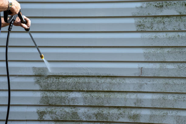Best Attic Cleanout  in Gananda, NY